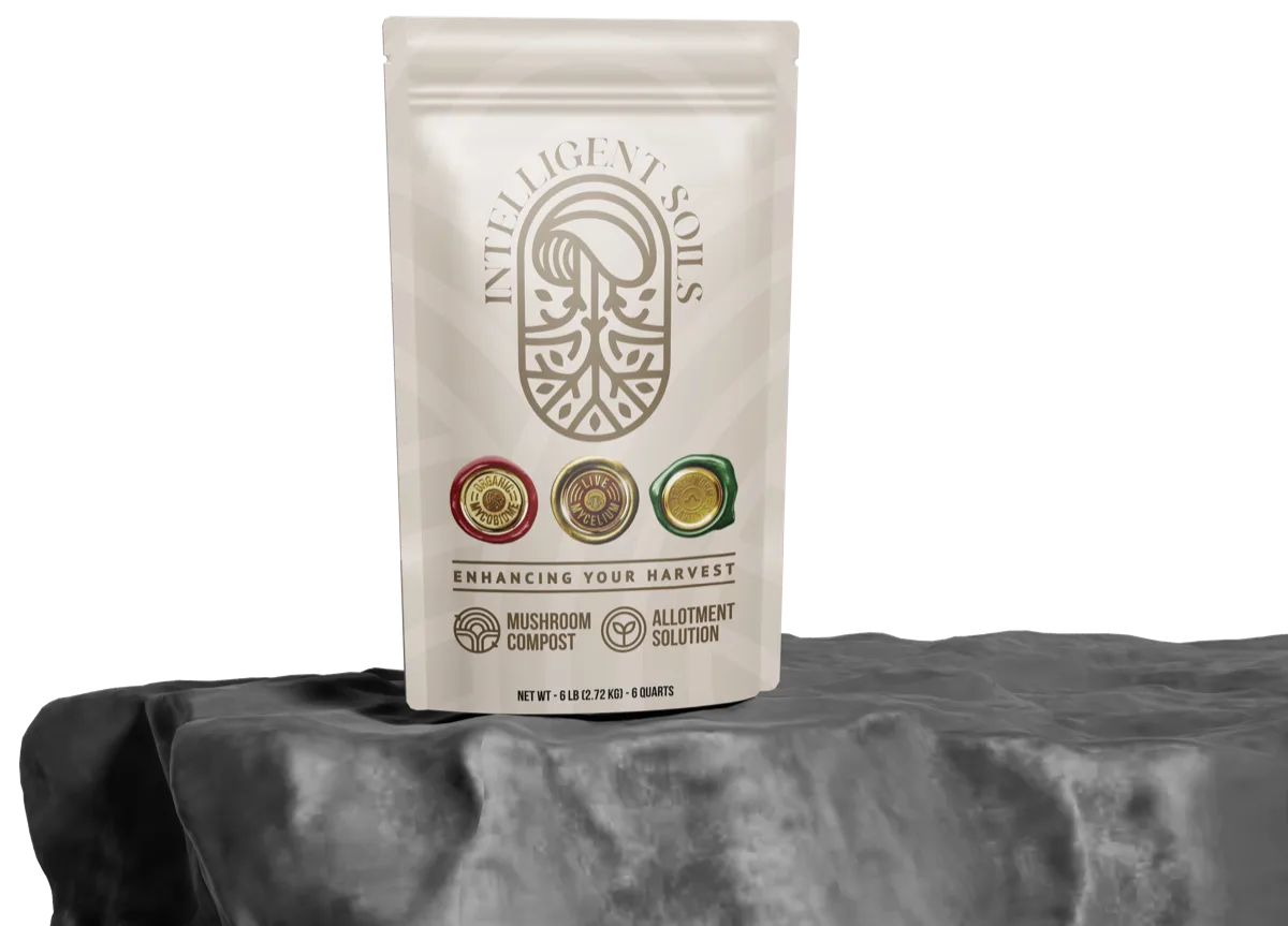Intelligent Soils pouch on stone