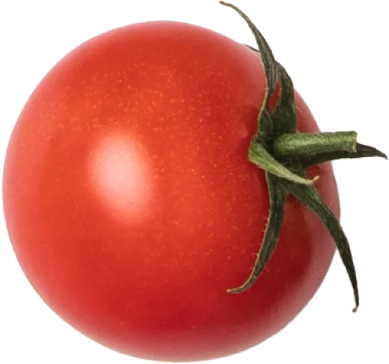 Tomato